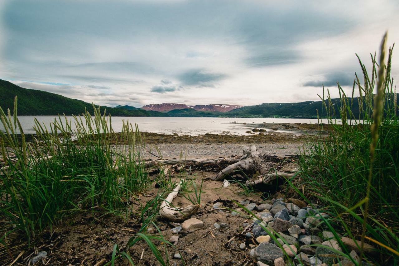 Out East B&B Norris Point Bagian luar foto